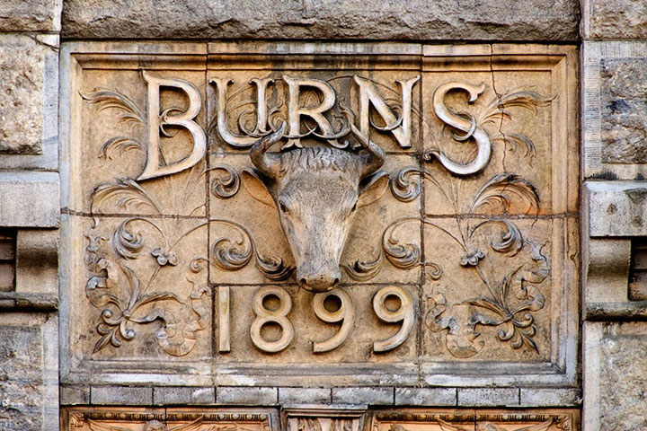 Burns’ Bull