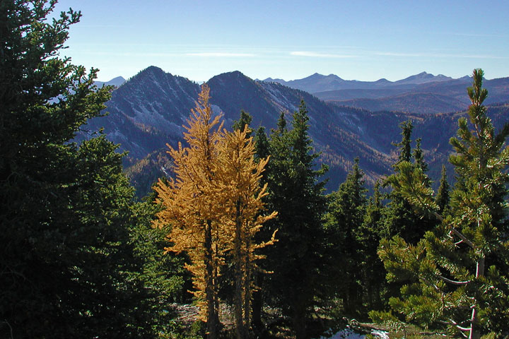 alpine large above Proctor
