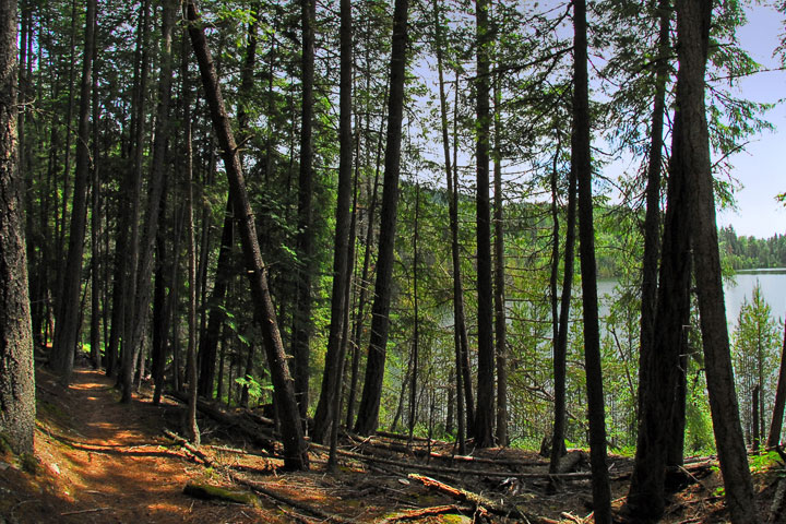 pathway around sawmill cove