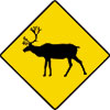 caribou sign