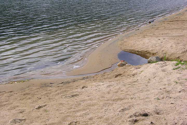 longshore drift