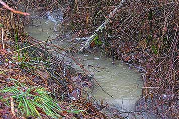 creek turbidity