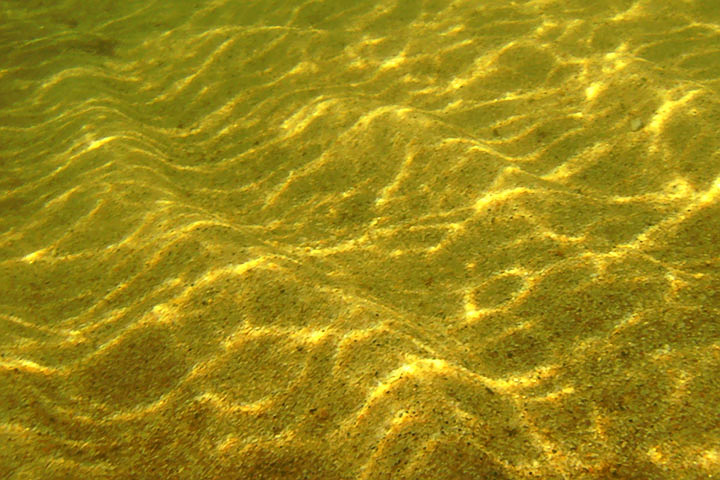 Sand ripples & caustics from water ripples