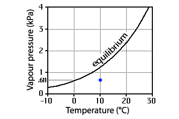 equilibrium vapour pressure