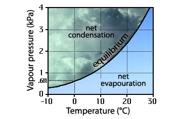 net evaporation and condensation