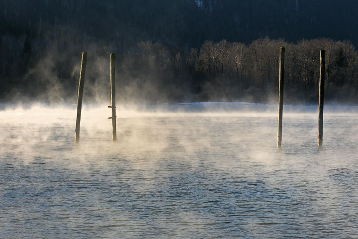 steam fog